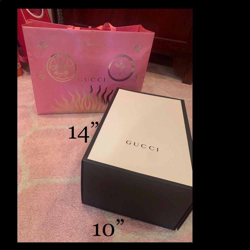 Gucci Bag and Box